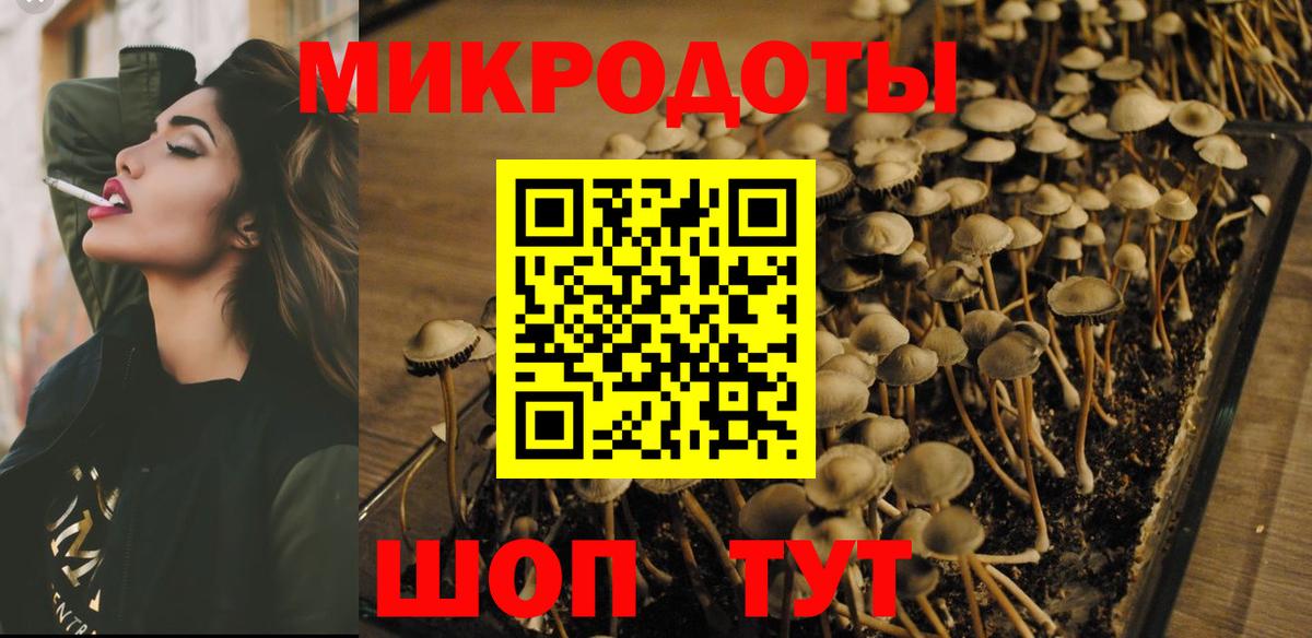 Звенигород  Псилоцибиновые грибы Cubensis  Галлюциногенные грибы ЛСД  Вход с VPN 